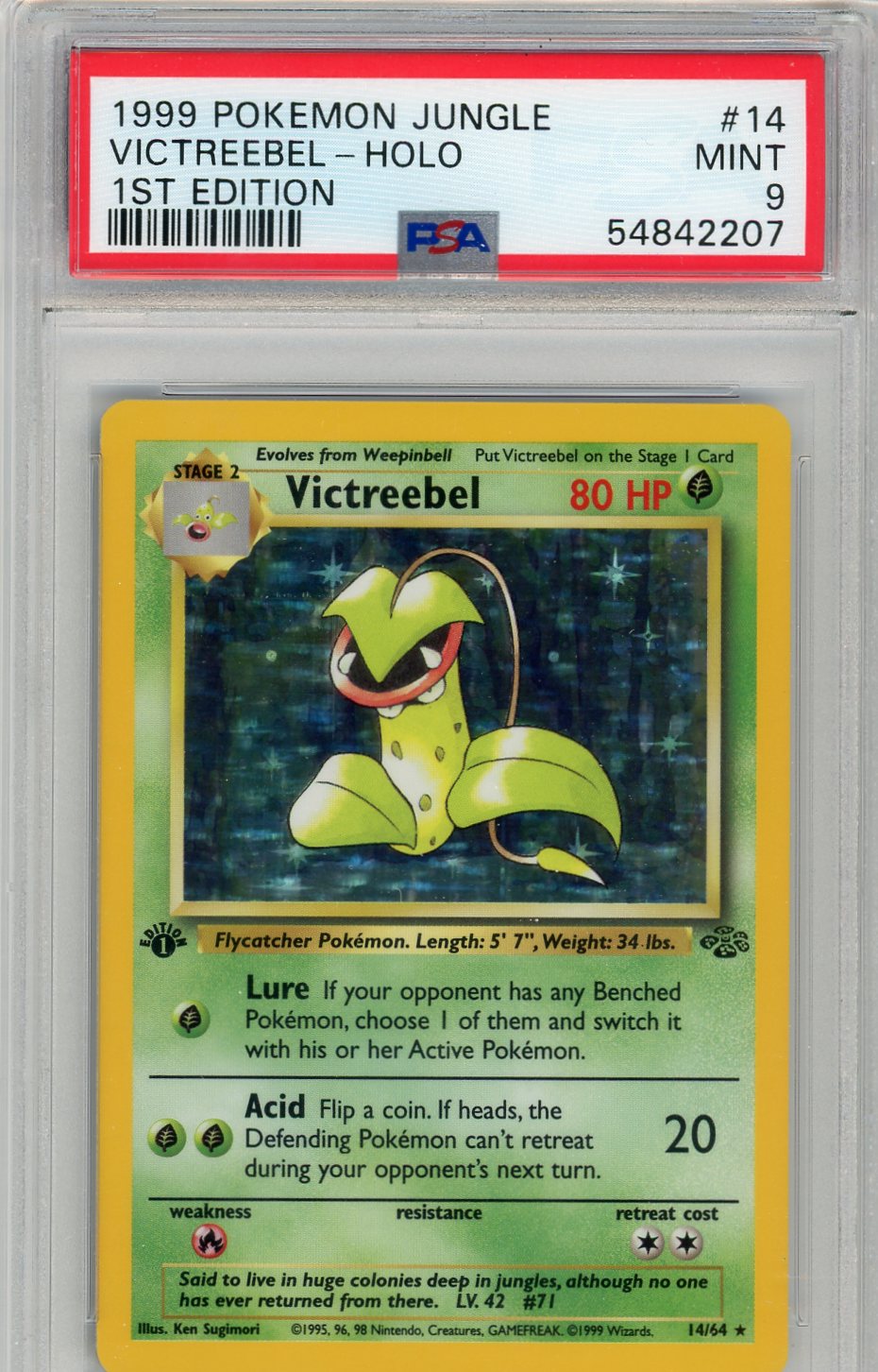 ClashSummit — Victreebel 1999 Pokemon Jungle 1st Edition Holo PSA 9 – Official Pokemon TCG Product by ClashSummit